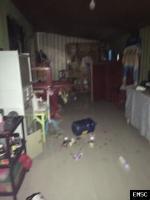 Earthquake: Matanao Philippines,  October 2019