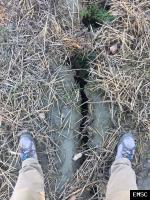 Earthquake:  Montenegro,  November 2019