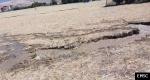 Earthquake: Rouached Algeria,  August 2020
