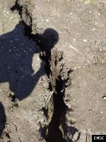 Earthquake: Mila Algeria,  August 2020