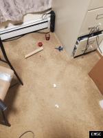 Earthquake: Anchorage United States,  May 2021