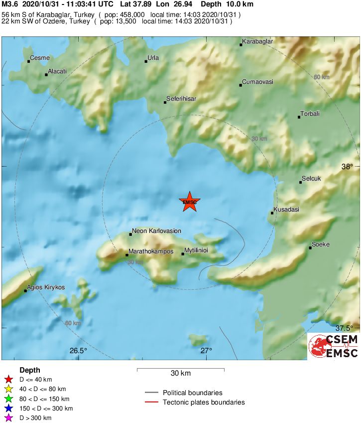 Local View